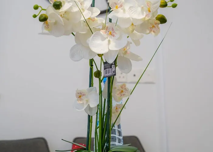 Seaview 49 With Balcony & Open Kitchen, Free Parking & Smart Tv Διαμέρισμα Λάρνακα